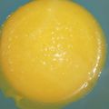 El cooksnap de Lorita cuando hizo Lemon curd.