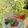Cooksnap dari Shiffani N.S untuk resep Strawberry Mojito