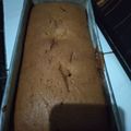 Cooksnap dari Dapur Mama Arsa untuk resep Bolu gula merah baking pan