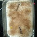 El cooksnap de Laureano cuando hizo Arroz con leche.