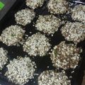 El cooksnap de javiera echeverria cuando hizo Hamburguesas al horno de soja texturizada rebozadas en avena.