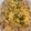 Hardus Greyling's cooksnap of when they made Bacon Carbonara.