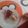 El cooksnap de Gabriela Folger cuando hizo Tarta de galletitas maría y mascarpone.