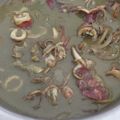 Cooksnap dari Noveve 2017 untuk resep Sotong Masak Hitam