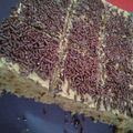 Cooksnap dari maya nugraheni untuk resep Bolu Mocca Meses Jadul