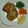Cooksnap dari zee zee untuk resep Steak Tempe