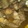 Cooksnap dari Devia Rahma Wati untuk resep Semur Ayam Kental