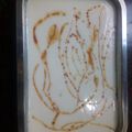 El cooksnap de Varonsito Blanco cuando hizo Postre de leche con Maizena.