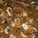 Cooksnap dari Intan Oke Dwiana untuk resep Seafood Saus Padang