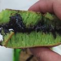 Cooksnap dari Ririn Rajul untuk resep Martabak Teflon