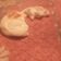 El cooksnap de Emy Noguez cuando hizo Pan de leche.