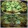 Cooksnap dari Indah Nurafni Khairani untuk resep Pizza Teflon anti ribet