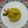 ÝTumpa Bose's cooksnap of when they made Zafrani Pulao.