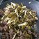 Tsai Ling Chen 的 蠔油酸菜筍 cooksnap