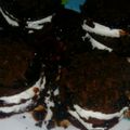 صورة من Ahmed Mohamed، شاركها بعد تجربة وصفة كيك بالشوكولاته ولا اسهل 👌👌👌👌🍫🍫🍫🍮🍮🍮🍮