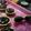 Cooksnap dari Chintyaaa untuk resep Pie brownis