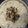 Usha Varshney's cooksnap of when they made Danhi Boondi Raita.