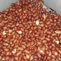 Cooksnap dari yeni ekawati untuk resep Kacang goreng pake airfryer (roasted peanut using air fryer)