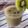 Cooksnap ha.lim39 semasa beliau membuat Fresh Kiwi Juice.