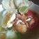 Cooksnap dari Chaca Hegiss untuk resep Bubur ayam samarinda