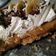 Cooksnap από roulap στη συνταγή Μπανόφι (banoffee) 🍌🍌 Αντώνης