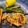 Natasha Grobler's cooksnap of when they made Air Fryer Chicken Breast:.