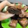 Cooksnap dari Ifaniar Trifanny untuk resep Fudgy shiny crust brownie