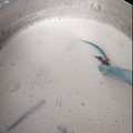 El cooksnap de mary espinoza cuando hizo Atole blanco.