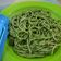Cooksnap dari Yanni Liang untuk resep Spageti saus bayam