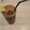 Puja Shaw's cooksnap of when they made ফ্রেশ লাইম সোডা (fresh lime soda recipe in Bengali 0.