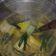 Cooksnap dari cornelia untuk resep Sayur Asem Jakarta