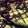 Viktoria G's cooksnap of when they made TL's St. Patrick's Day Grasshopper Brownies.