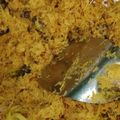 Cooksnap dari Rossy Puspasari untuk resep Dendeng Ragi by ibunyAlya