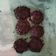 Cooksnap dari Lita untuk resep 17.Choco Bals(bola bola cokelat) super lumer hanya 4 bahan saja