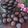 Cooksnap dari merinah untuk resep Brownis mini kering
