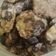 Cooksnap dari cici untuk resep Oat cookies