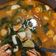 Cooksnap dari venta untuk resep Tom Yam Udang (ต้มยำกุ้ง)