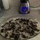 Cooksnap από Γεωργια στη συνταγή Γλυκό ψυγείου με oreo