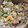 Cooksnap από Δέσποινα Καρπούζα στη συνταγή Salad Chef