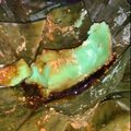 Cooksnap dari namera untuk resep Babongko khas Banjar
