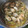 El cooksnap de Javi Munoz cuando hizo Chipirones frescos rellenos en salsa de cebolla y tikka curry.