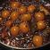 Cooksnap dari Orange Cooking untuk resep Sate Telur puyuh