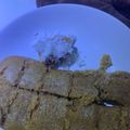 Cooksnap dari Rully untuk resep Apang Bugis