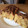 El cooksnap de vetal cuando hizo Brownie de avena fit.