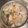 菜菜 的 簡單海鮮粥 cooksnap