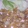 Cooksnap dari Laila Rahmalillah untuk resep Cumi goreng tepung