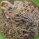 Cooksnap dari Kadindaa untuk resep Indomie rendang nyemek