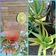 Cooksnap dari Liez_Tya untuk resep Nata de Aloe🍸