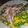 El cooksnap de Marta Marqués cuando hizo Sardinas en lata con maíz y guisantes. Receta de dieta.
