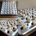 Cooksnap dari Vie_747 untuk resep Fatty Sheep German Cookies (Cookies Lucu)